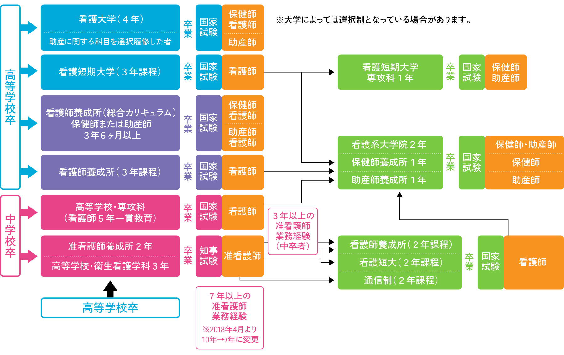 資格取得の過程